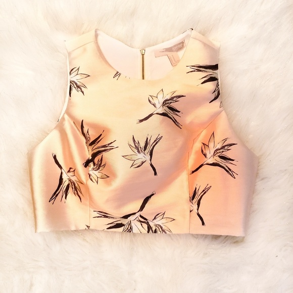 Forever 21 Tops - ⭐Yellow Birds Paradise Formal Crop Top Forever21